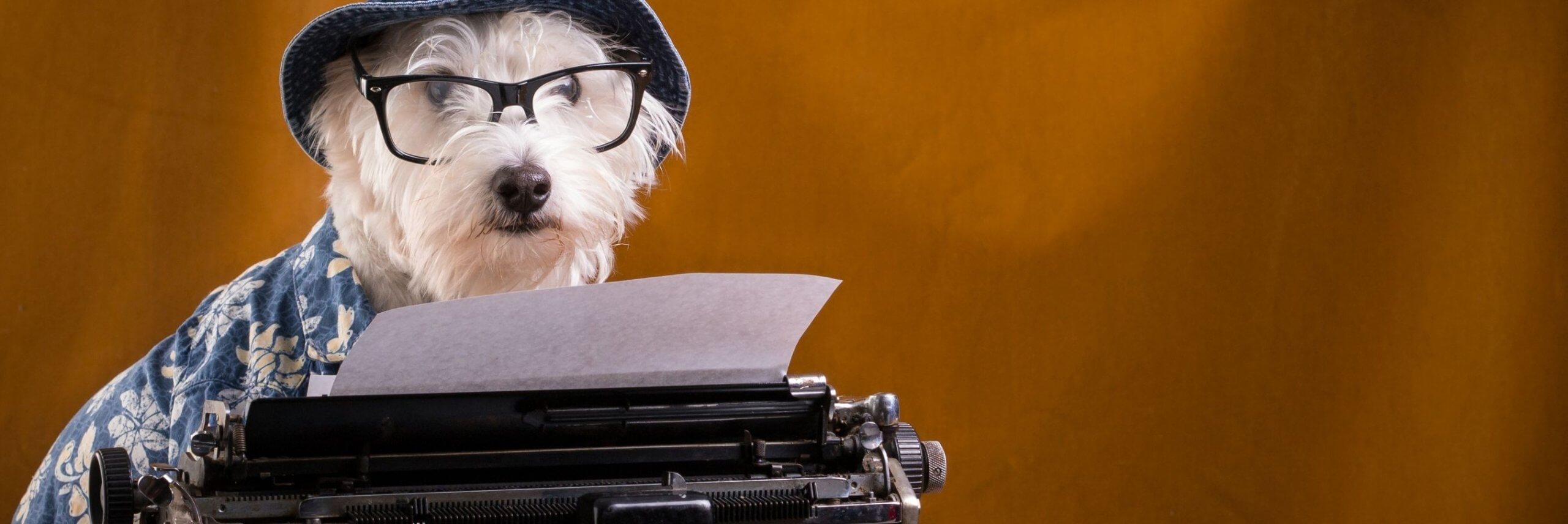 White dog wearing a hat and glasses sitting at a typewriter